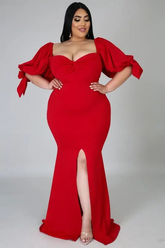 Posh Long sleeve plus size maxi Dress - Fason De Viv