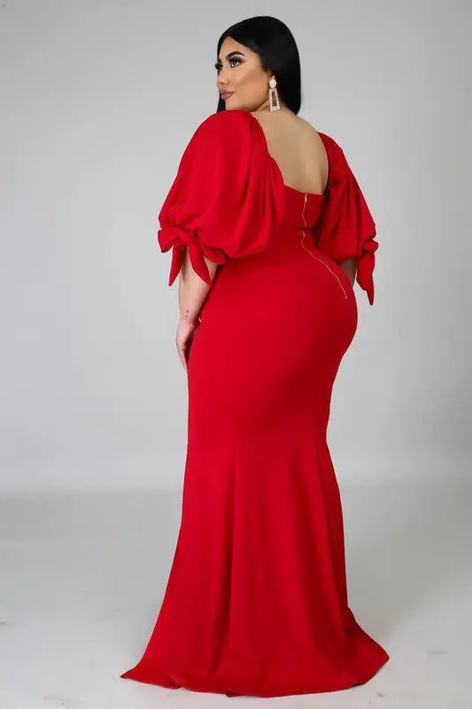 Posh Long sleeve plus size maxi Dress - Fason De Viv