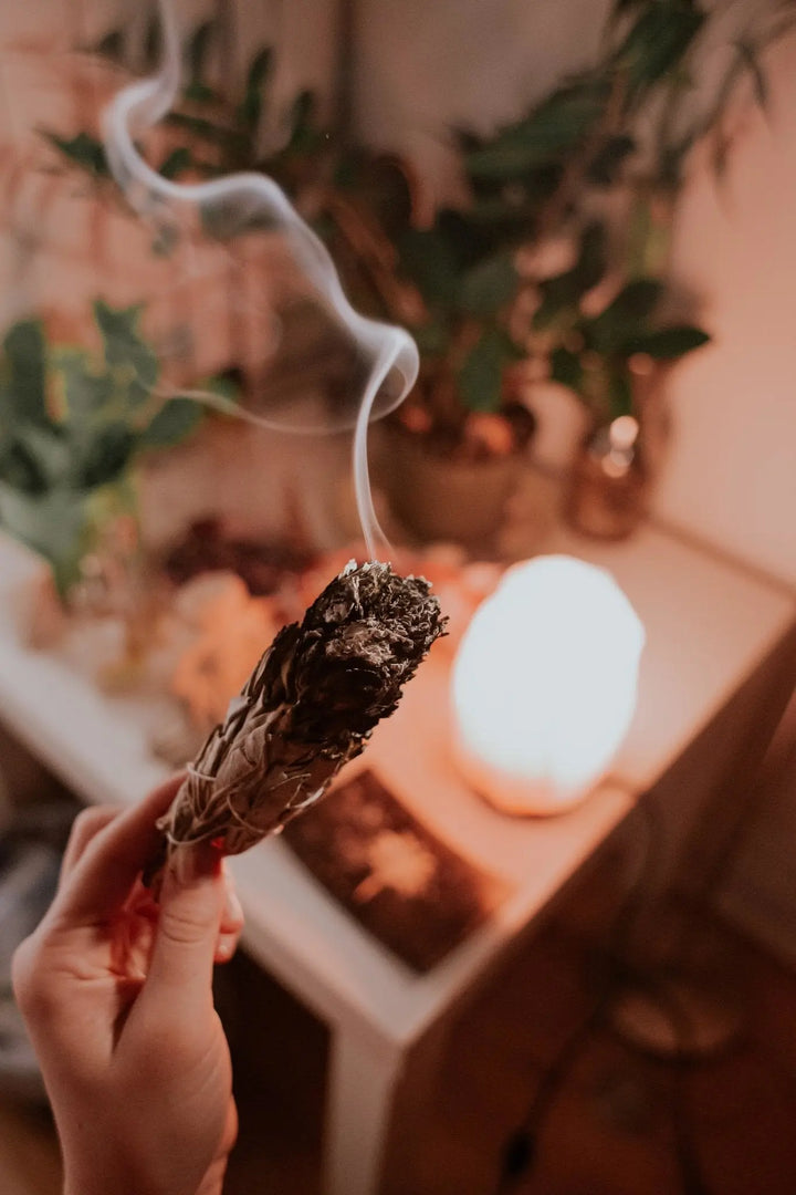 Positive Energy Burning Sage - Fason De Viv