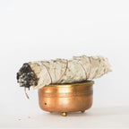 Positive Energy Burning Sage - Fason De Viv